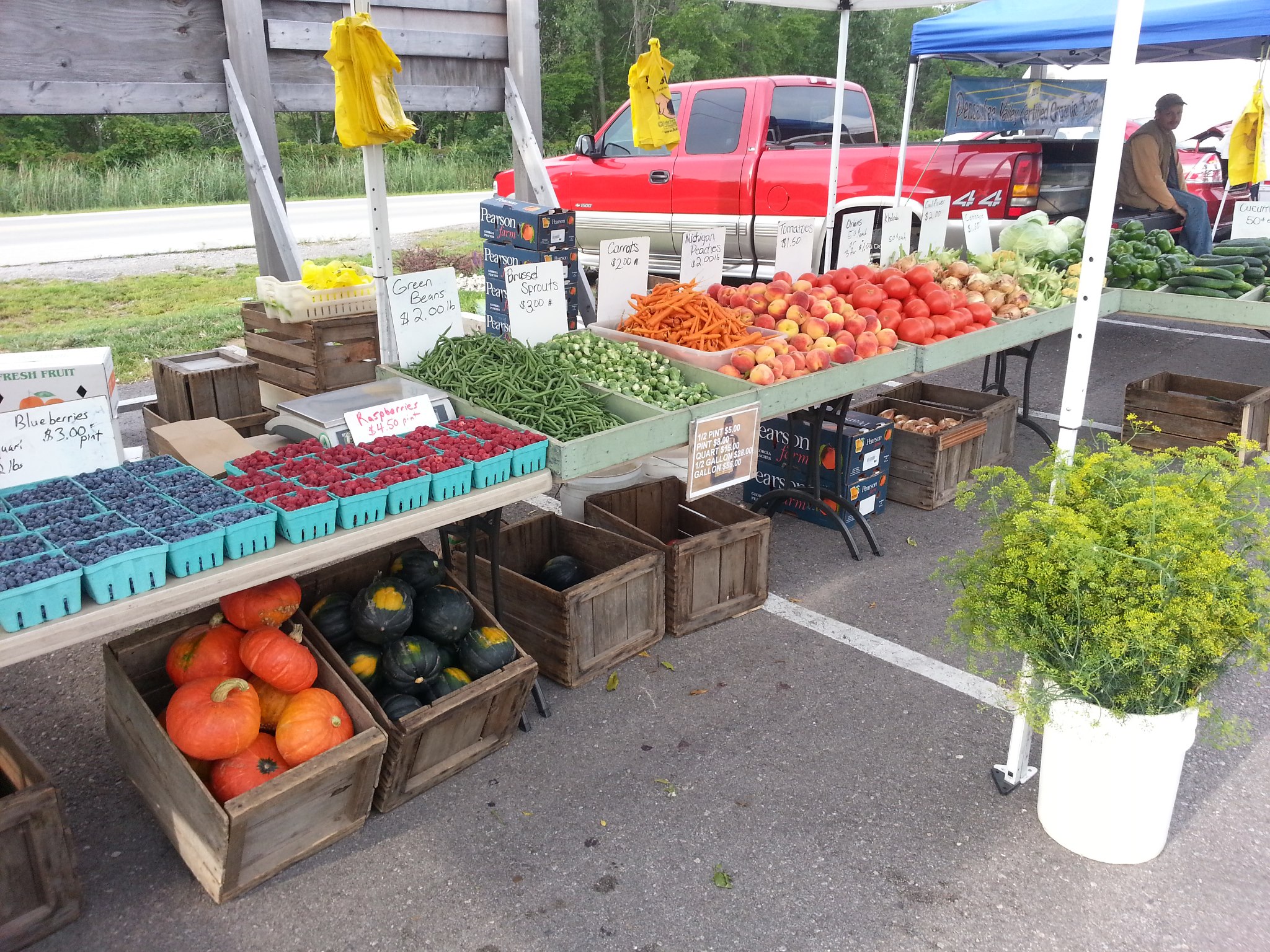 farm-stands-moders-gardens-lineville-rd-920-434-0730